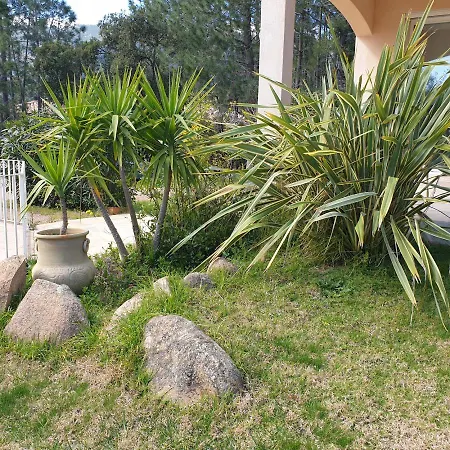 Ribba 6 Pers Piscine 5 Min En Voiture * Gialla