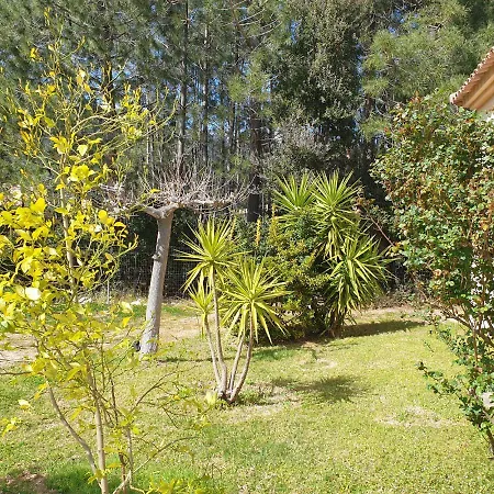 Ribba 6 Pers Piscine 5 Min En Voiture Gialla