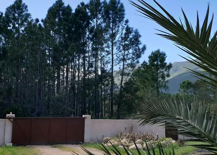 Villa Ribba 6 Pers Piscine 5 Min En Voiture *